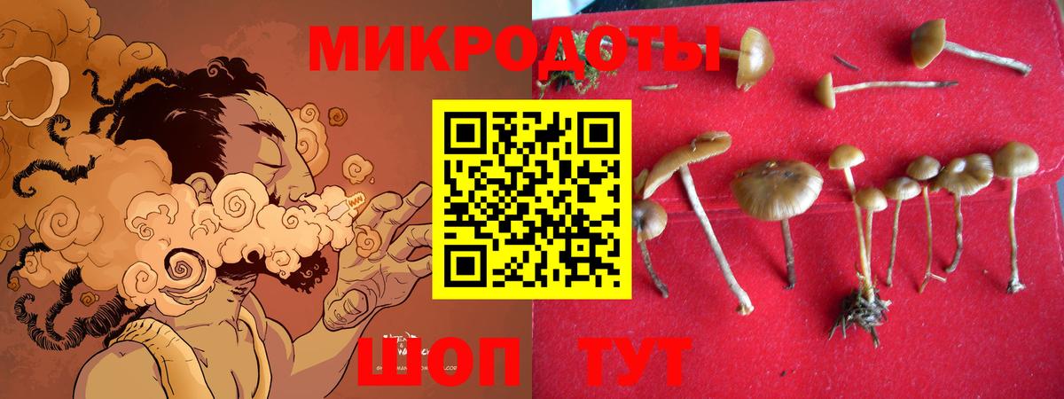 Галлюциногенные грибы MAGIC MUSHROOMS Мирный